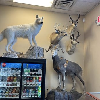 Impact Archery - Archery Near Me - Las Vegas, Nevada