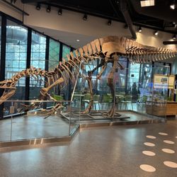Chicago Children's Museum