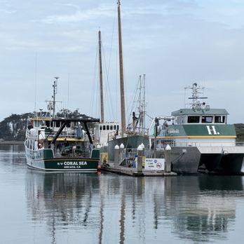 The Eureka Inn - Cal Poly Humboldt research vessels docked at Woodley Island Marina along the water in the Humboldt Bay. - Hotels Near Me - Eureka, California The Eureka Inn - Cal Poly Humboldt research vessels docked at Woodley Island Marina along the water in the Humboldt Bay. - Hotels Near Me - Eureka, California