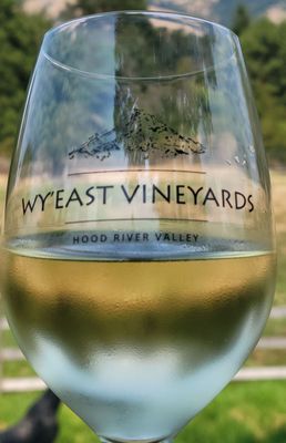 Wy'East Vineyards by null