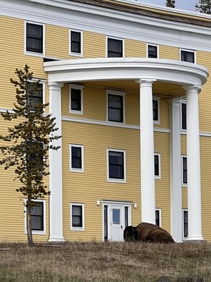 Lake Yellowstone Hotel & Cabins by null