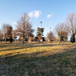 Preston Park - In Preston Park