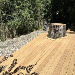 J & D Landscaping And Tree Expert - I asked them to leave the stump so that we can use it. Note the pristine deck and yard.