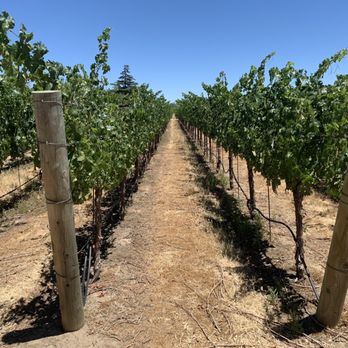 Great Bear Vineyards - Wine Tasting Room Near Me - Davis, California