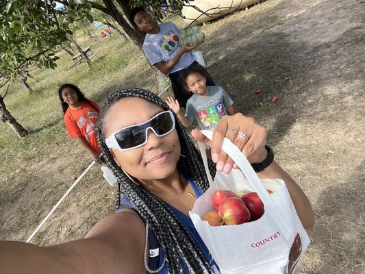 Happy Apple Farm by null