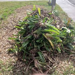 Elephants Dumpster Rental & Junk Removal - Land waste