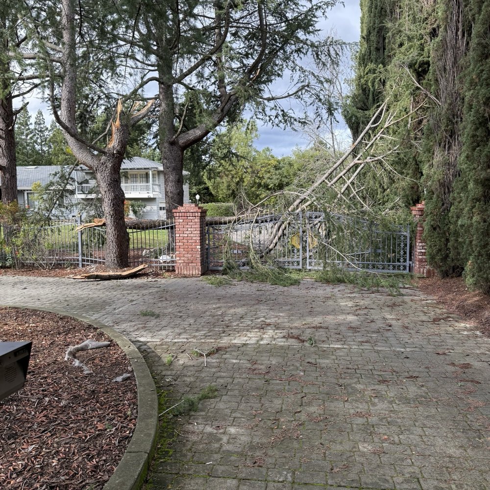 Payne Tree Care - Front gate blocked - Tree Services Near Me Payne Tree Care - Front gate blocked - Tree Services Near Me