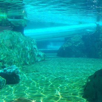 Aquatica Orlando - Water Parks Near Me - Orlando, Florida Aquatica Orlando - Water Parks Near Me - Orlando, Florida