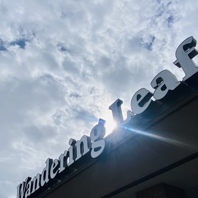 Wandering Leaf Brewing Company by null