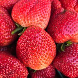 Thacker Berry Farms on Spring St. - I mean....