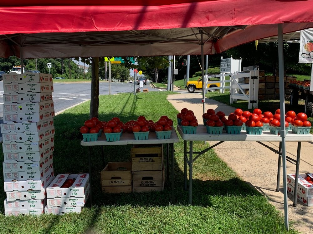 MOHOLT FRESH PRODUCE Updated September 2024 12 Photos 10401 Old