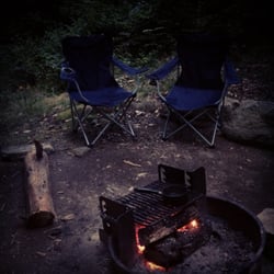 Tolland State Forest