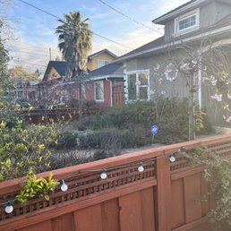 Frontyard- before Frontyard- before