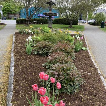 Village Green - Pretty tulips in the park - Parks Near Me - Bar Harbor, Maine Village Green - Pretty tulips in the park - Parks Near Me - Bar Harbor, Maine