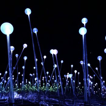 Sensorio - I wish they would be taller - Art Galleries Near Me - Paso Robles, California Sensorio - I wish they would be taller - Art Galleries Near Me - Paso Robles, California