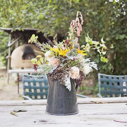 OZ Farm - We offer organic flowers by arrangement or by the bucket