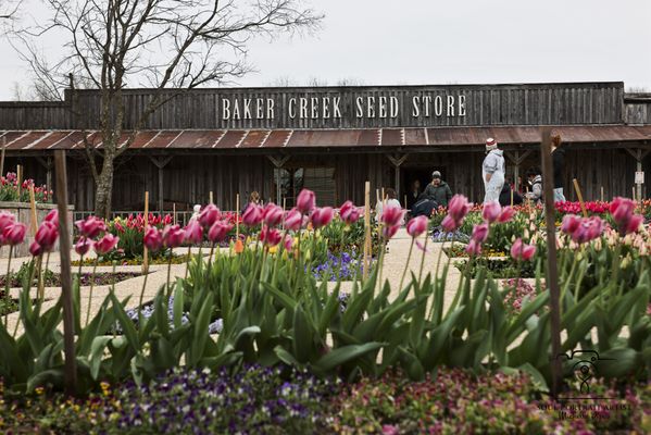 Baker Creek Heirloom Seed Company by null