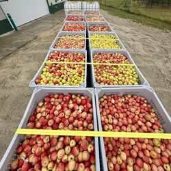 Warm Belly Farm