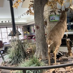 Powder Valley Conservation Nature Center