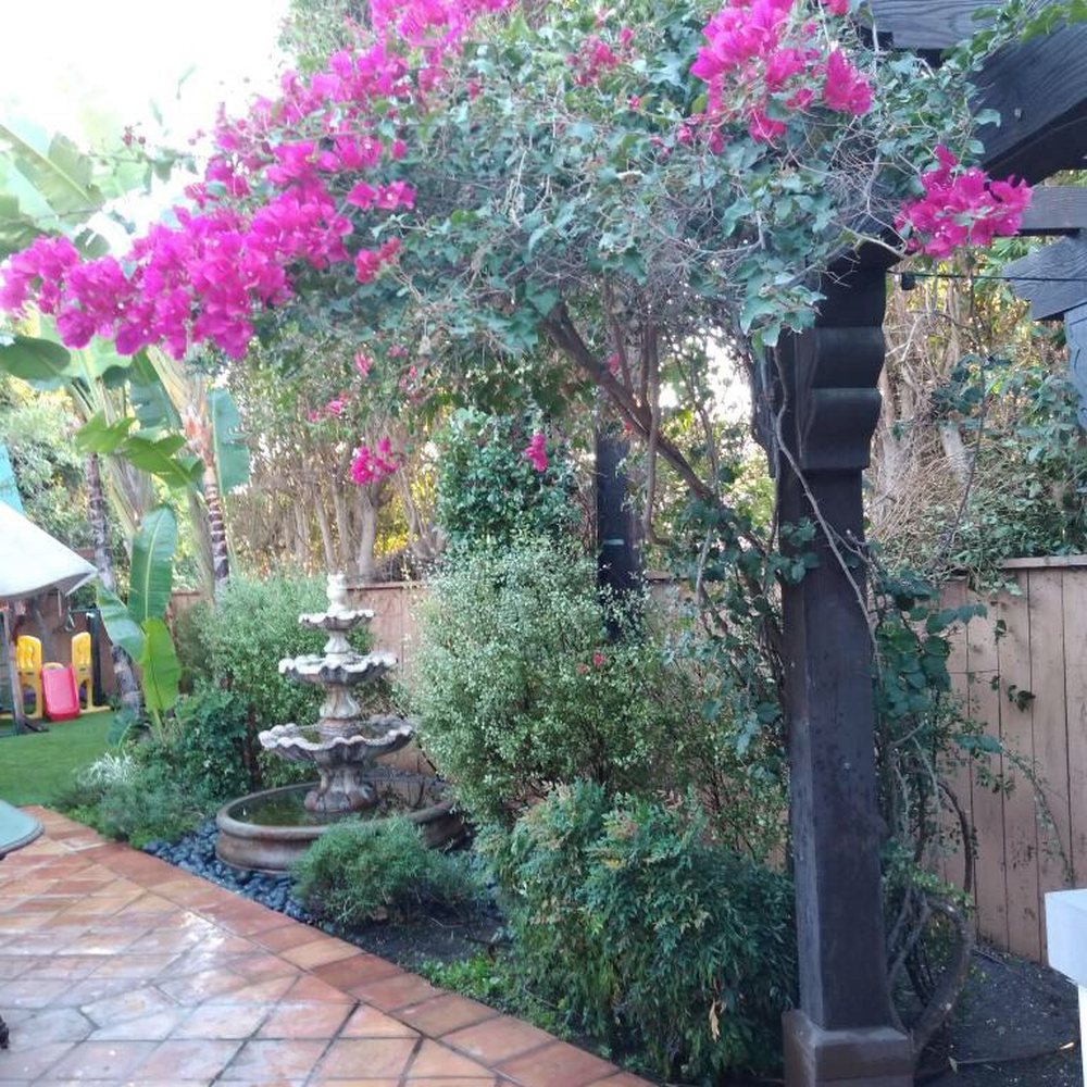Martinez Gardening Services - a patio area with a fountain - Tree Services Near Me - Glendale, California Martinez Gardening Services - a patio area with a fountain - Tree Services Near Me - Glendale, California