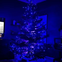 Mr Jingle's Christmas Trees
