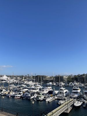 Marina Del Rey Marina by null
