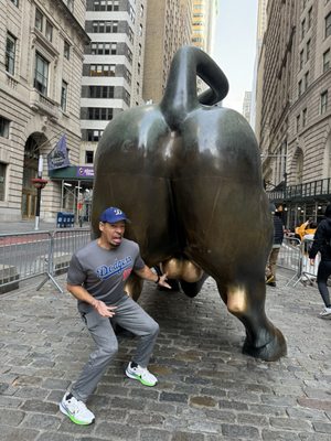 Charging Bull by null