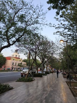 Alameda Central by null