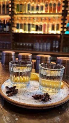 Mezcaleria Alma by null