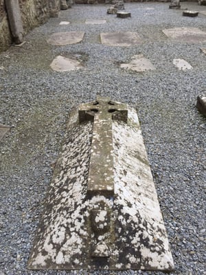 Clonmacnoise Monastic Site by null