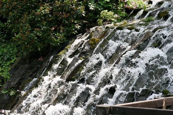 Botanical Garden of the University of Wrocław by null