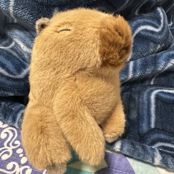 Claire's Boutique - Capybara - Jewelry Near Me - Thousand Oaks, California