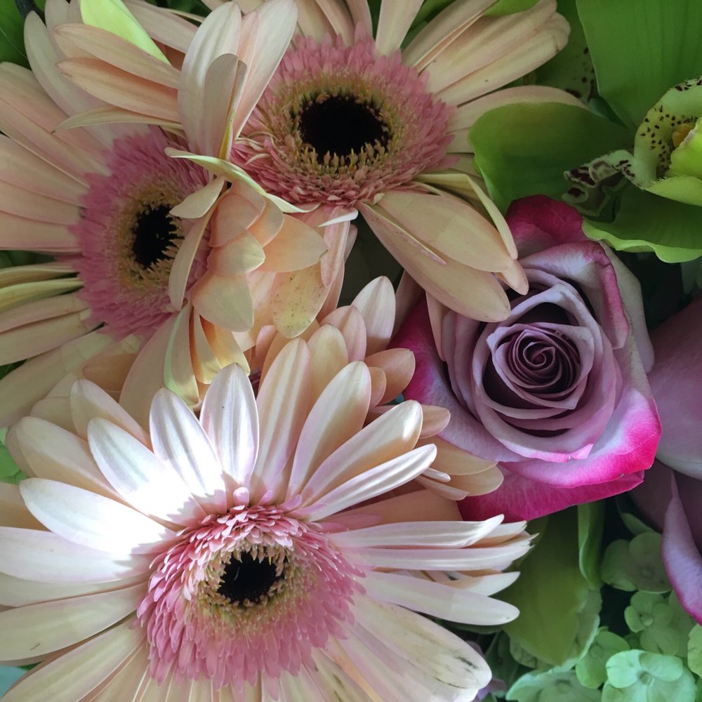 Seasons Florist - Florists Near Me - Aliso Viejo, California Seasons Florist - Florists Near Me - Aliso Viejo, California