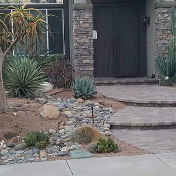 Level Up Landscape Construction - Desert landscape with steps - Landscaping Near Me Level Up Landscape Construction - Desert landscape with steps - Landscaping Near Me