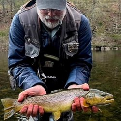 Trout Town Flies - Wild East branch Brown!