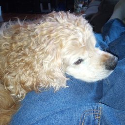 I spent the whole night by Moe's side this is the last picture I took of him.. daddy loves and misses you Moe RIP I spent the whole night by Moe's side this is the last picture I took of him.. daddy loves and misses you Moe RIP