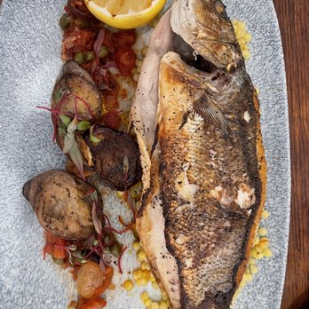 Elia - Greek Near Me - Pleasanton, California