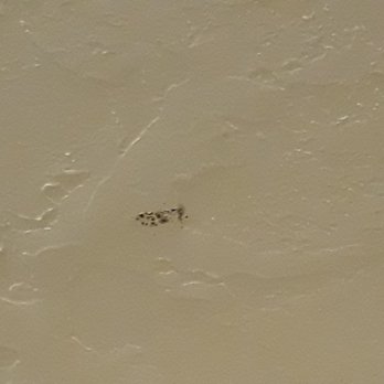 K A B Realty Management - Even more mold in bathroom - Property Management Near Me - Dover, New Hampshire
