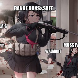 Range, Guns & Safes - LOVELY PLACE!