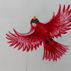 Cardinal Park