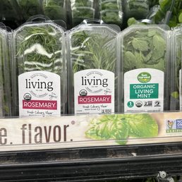 Fresh herbs with roots 5-25-23 Fresh herbs with roots 5-25-23