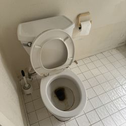 Pure Glow Cleaning Services - Toilet