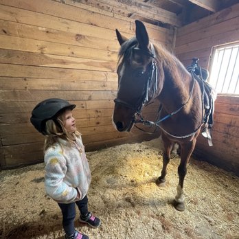 Newport Equestrian Academy - Horseback Riding Near Me - Middletown, Rhode Island