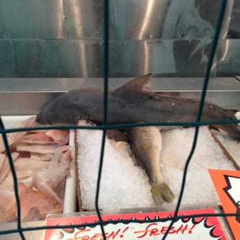 Market Fisheries - They have shark!!! - Seafood Near Me - Chicago, Illinois