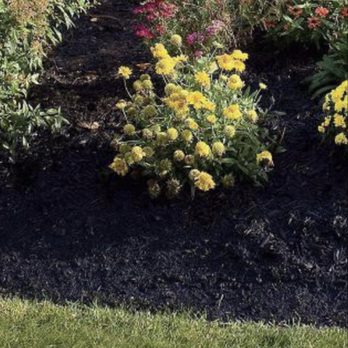 K & H Landscaping - Lawn Services Near Me K & H Landscaping - Lawn Services Near Me