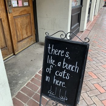 Pounce Cat Cafe - Themed Cafes Near Me - Savannah, Georgia Pounce Cat Cafe - Themed Cafes Near Me - Savannah, Georgia