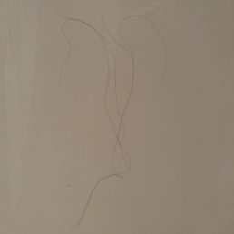 Hair on shower wall Hair on shower wall