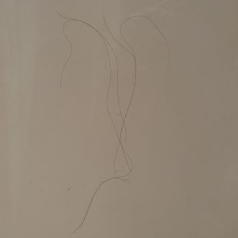 Rodeway Inn - Hair on shower wall - Hotels Near Me - Auburn, California Rodeway Inn - Hair on shower wall - Hotels Near Me - Auburn, California