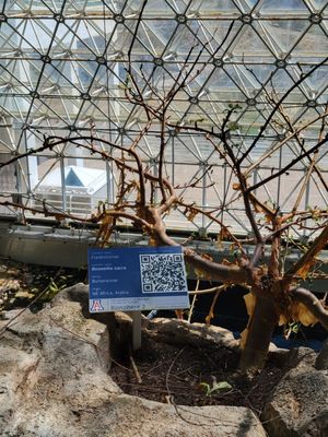 Biosphere 2 by null