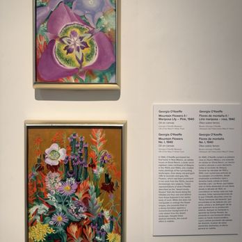 Georgia O'Keeffe Museum - Art Museums Near Me - Santa Fe, New Mexico